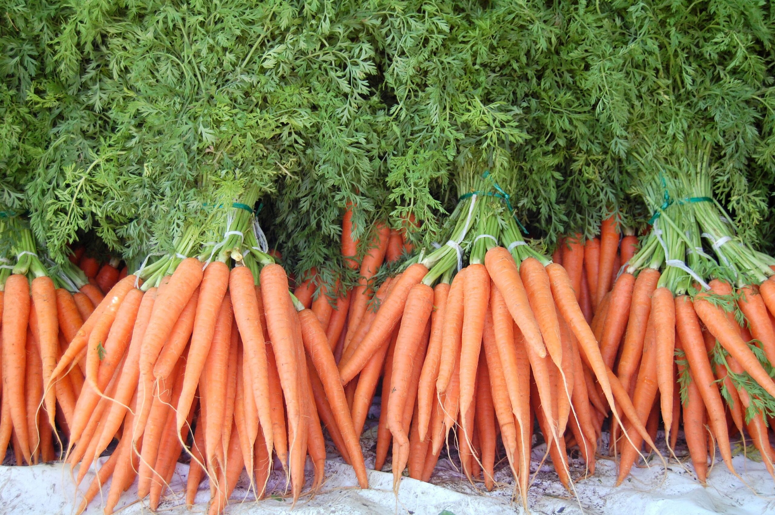 Carrot Market Rate