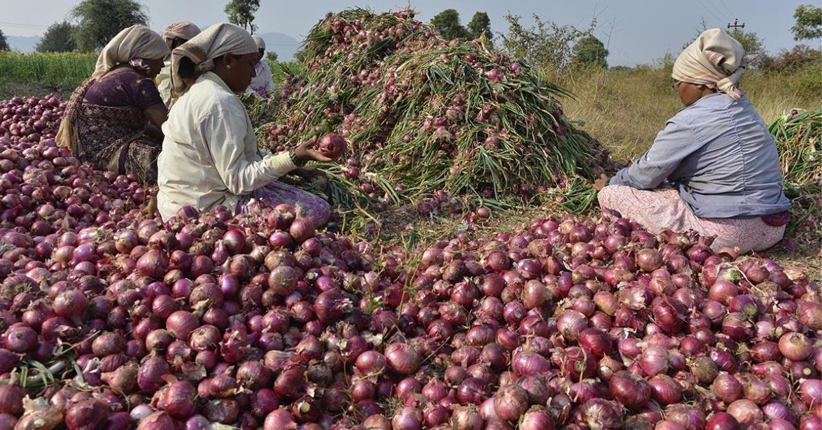 Onion Price