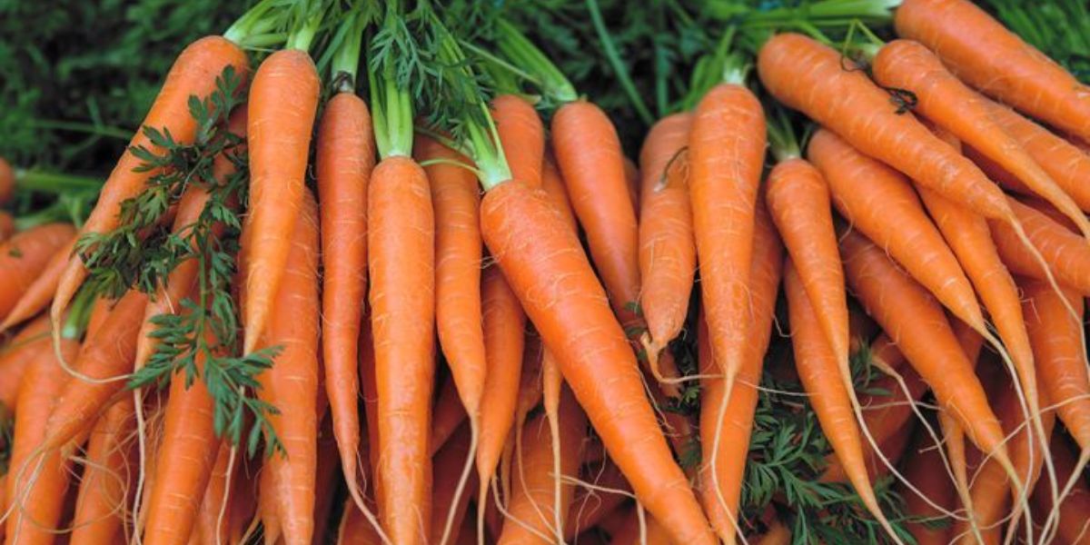 Carrot Rate