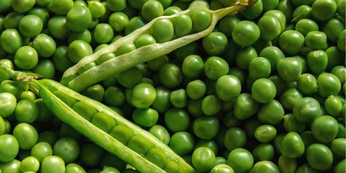 Peas Rate