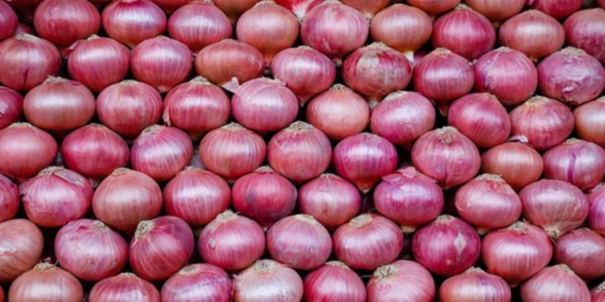 onion rate